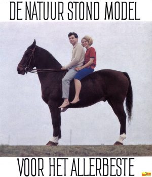 DKW Folder 1